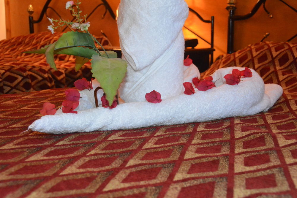 El Gezira Garden Hotel Luxor Exteriör bild